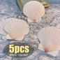 Sbc1505927b34429e949e350980600c8fr